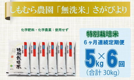 【定期便】連続６回 佐賀県認定 特別栽培米 「農薬：栽培期間中不使用」さがびより 無洗米 30kg（5kg×6 ）しもむら農園 Q068-002