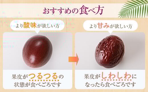【先行受付】前村さんちのパッションフルーツ