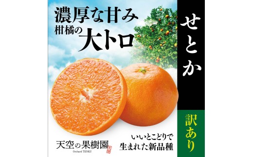 【先行受付】天空の果樹園から届く そらせとか【訳あり】 (4kg)【D95-9】＞【1702031】 YWTAQ009