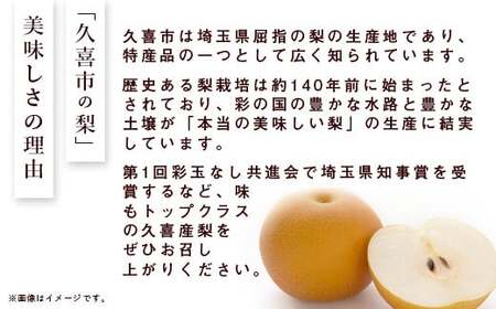 【2025年先行予約 数量限定】梨 あきづき 約3kg 6玉～10玉 | 梨 梨 梨 梨 梨