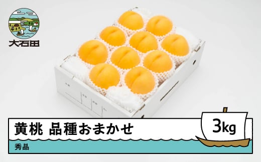 【先行予約】 もも 有袋黄桃 秀品 品種おまかせ 3kg 化粧箱入りフルーツ 果物 令和8年産 2026年産 山形県産 ns-mootx3