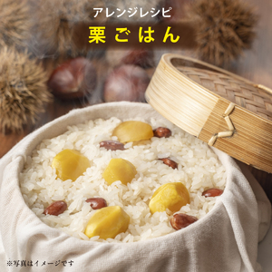 【山奥のブランド栗】大粒すきすき須木栗 3L サイズ以上 2kg（生栗 マロン くり 甘露煮 栗ご飯 限定）