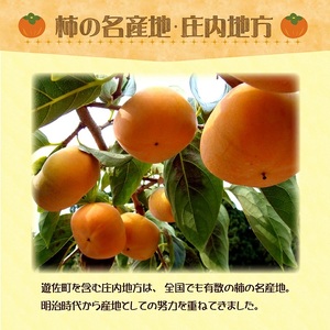 1223　遊佐町産庄内柿7.5kg