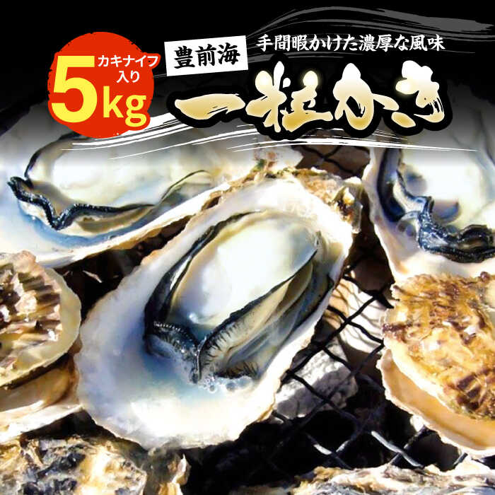 【ふるさと納税】【先行予約】豊前海一粒かき 5kg 【2026年1月中旬以降順次発送】 《豊前市》【豊築漁業協同組合】 牡蠣 牡蛎 カキ かき 生食 殻付き オイスター 生牡蠣 カキ小屋 BBQ 酒蒸し 海鮮 冬の味覚 旬 特産品 贅沢 ぜいたく 贈答用 お歳暮 産地直送 [VAG010]