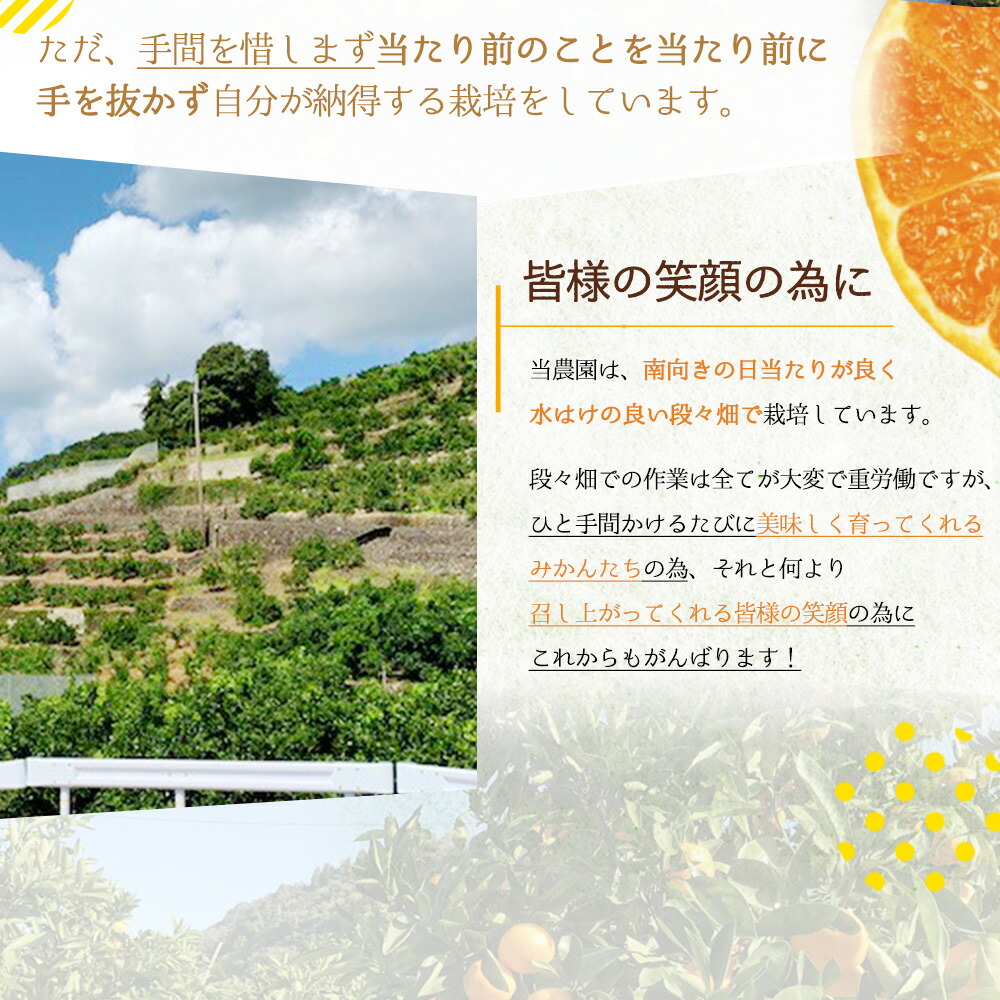 BF6061_【先行受付】有田みかん 5kg 2S～Lサイズ混合