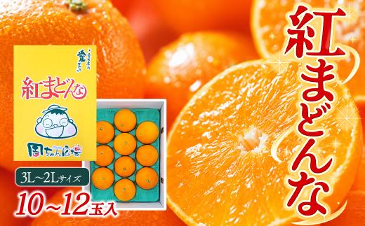 紅まどんな  3㎏ 10～12玉入（3L～2Lサイズ） 周ちゃん広場より発送 化粧箱 愛媛県西条市 【先行予約】 【12月発送】｜ 紅まどんな 愛媛 青秀 マドンナ みかん 果物 フルーツ ジューシー 甘い 高級 おすすめ 人気 お取り寄せ 愛媛県産 西条市産 送料無料