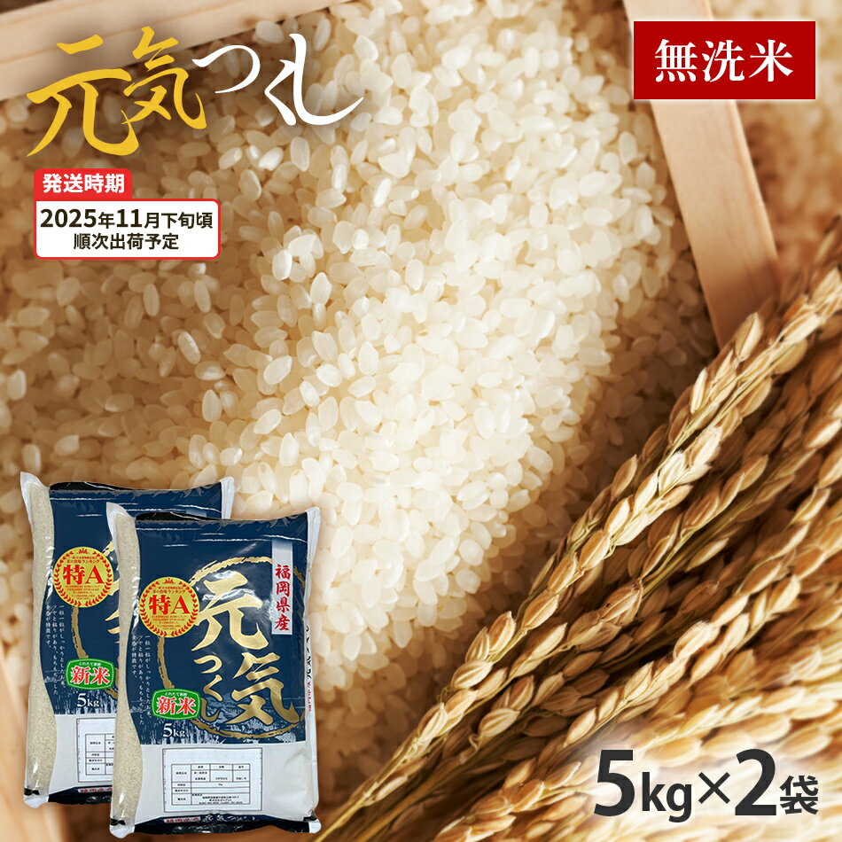 【ふるさと納税】元気つくし 令和7年産　【11月下旬頃より順次出荷予定】福岡県産ブランド米「元気つくし」無洗米10kg お取り寄せグルメ お取り寄せ 福岡 お土産 九州 福岡土産 取り寄せ グルメ 福岡県
