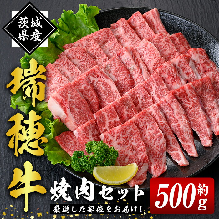 【ふるさと納税】瑞穂牛焼肉セット 約500g 牛肉 やきにく バラ 肩ロース 肩 肩バラ トモサンカク イチボ ブランド牛 冷凍配送 茨城県 お中元 焼肉の日 敬老の日 瑞穂牛 焼肉 10種 盛り合わせ 食べ比べ 国産 肉 BBQ セット 送料無料 【（株）フロンティアロード】 【ho0858】