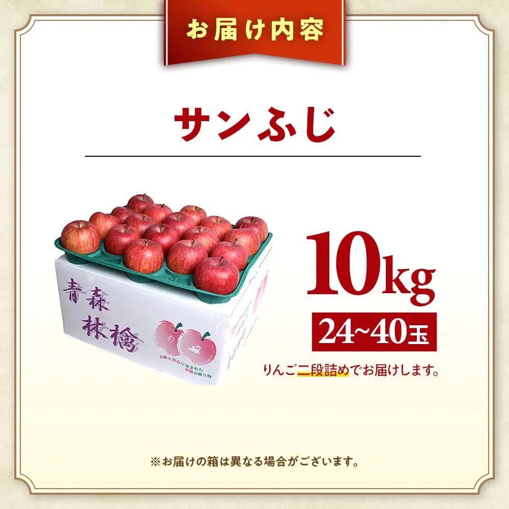 大容量 青森県産りんご 12月上旬～ サンふじ 10kg りんご