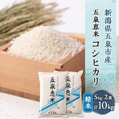 ふるさと納税 五泉市 【先行受付】令和8年産 新潟県産 特別栽培米 コシヒカリ 精米 10kg(5kg×2袋)