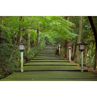 しらやまさんでお神楽をあげよう