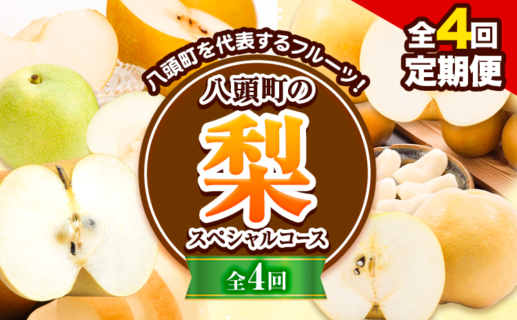 【先行予約】【全4回定期便】八頭の梨スペシャルコース 定期便 《8月下旬-11月末頃出荷》JA鳥取いなば 鳥取県 八頭町 梨 なし 果物 フルーツ 定期便 頒布会 新甘泉 二十世紀梨 新興梨 王秋梨