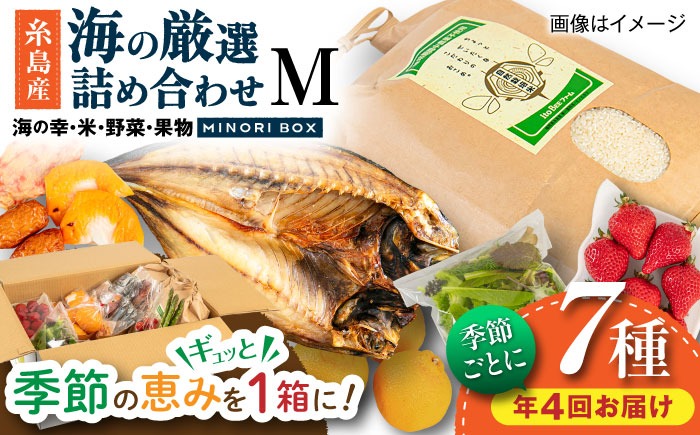 【全4回定期便】糸島産 魚 米 野菜 果物 厳選詰め合わせ MINORI BOX Mサイズ【季節ごとに年4回お届け】 糸島市 / emma.Inc / 米 魚 野菜 果物 詰め合わせ[AOP005] 米 こめ 魚 さかな 野菜 やさい 果物 くだもの 糸島 詰め合わせ MINOR