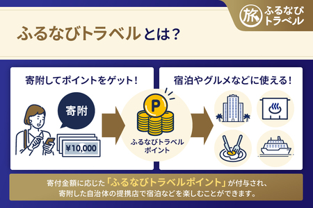 【旅行支援・宿泊無期限】旅行ポイント千代田区ふるなびトラベルポイント