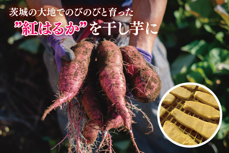 【12月より順次発送】干し芋 平干し 紅はるか 2.5kg（250g×10）【干し芋 干しいも ほし芋 芋 さつまいも さつま芋 紅はるか 茨城県 水戸市】（IN-6)