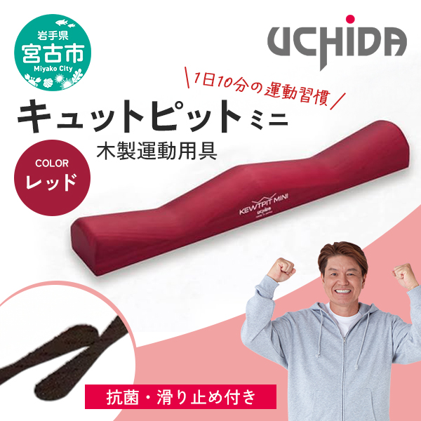 【宮古市】キュットピットミニレッド 岩手県 木材 スギ 健康 手軽 用具