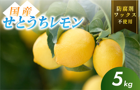 【先行予約】【有機】せとうちレモン　今治産　5kg【K002330KG5】