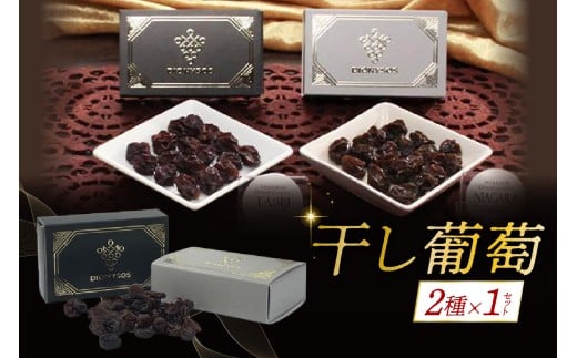 北海道完全無添加干し葡萄　DIONYSOS2種セット×1セット