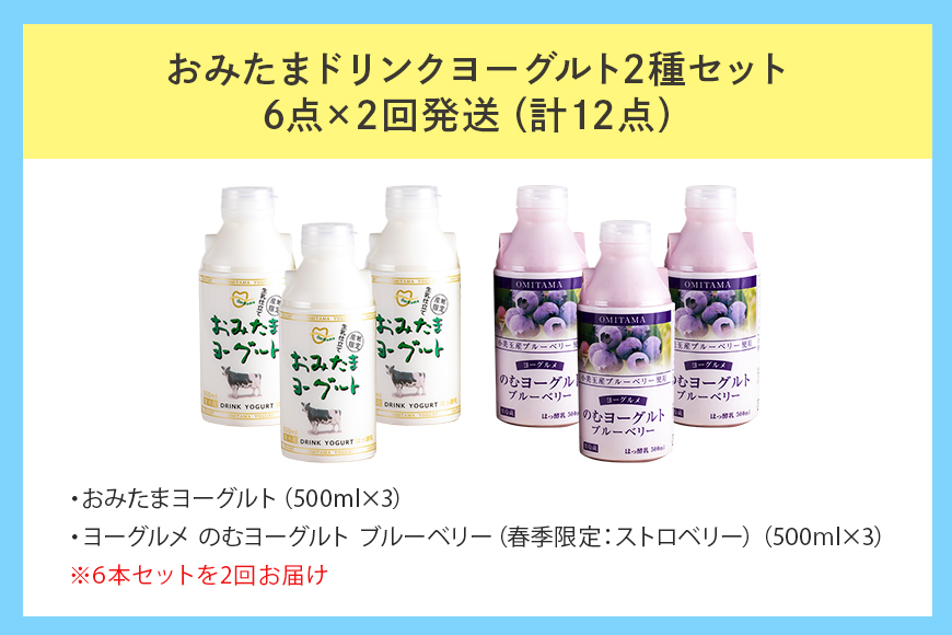 【2回定期便】 おみたまドリンクヨーグルトセット 500ml×6本×2回 1-I