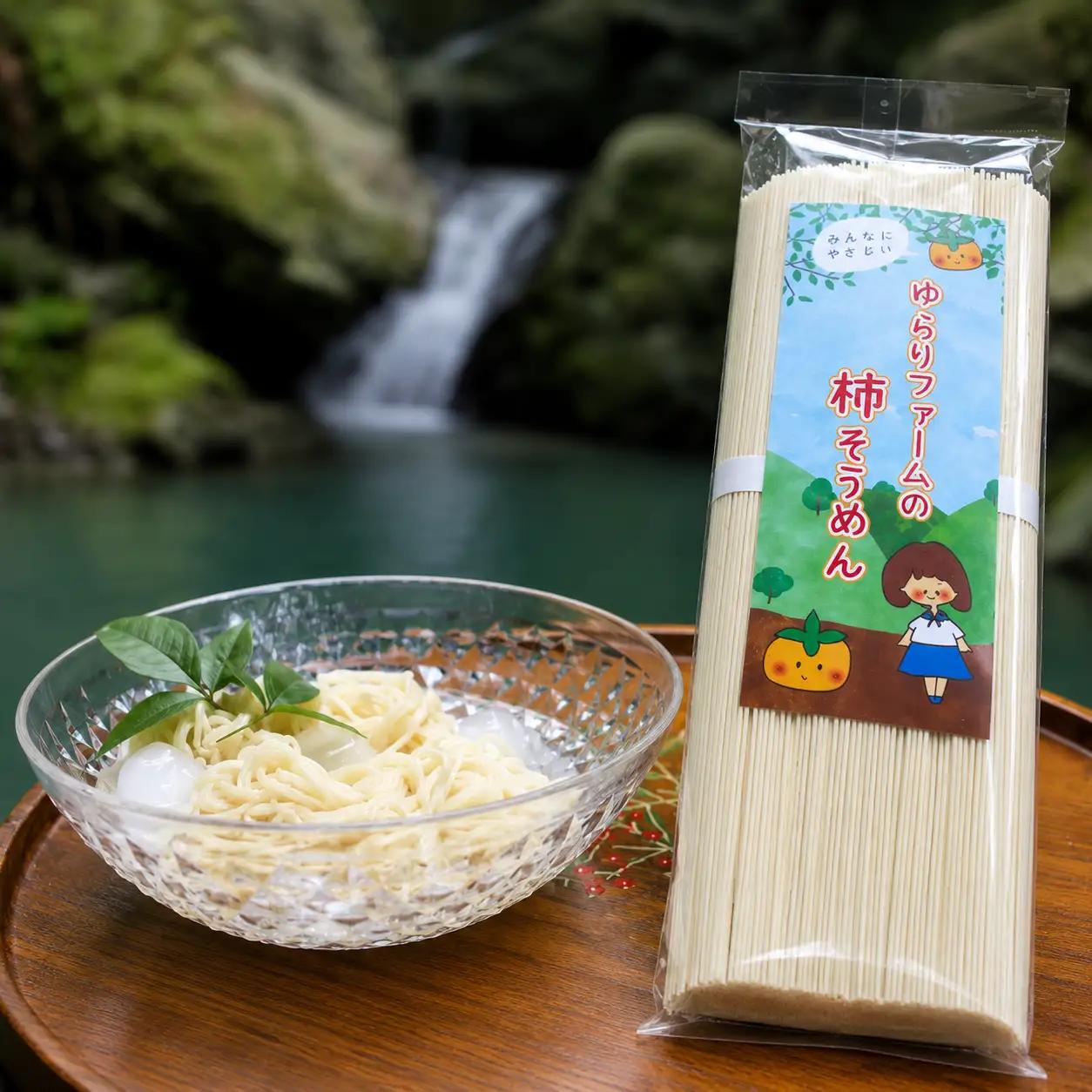 紀北 かつらぎ特産 たねなし柿そうめん【入金確認後、１週間以内を目途に発送】【BQ001-yrrf001】