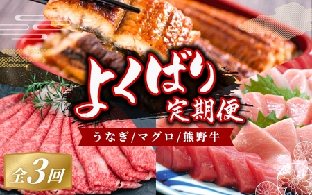 定期便 よくばり定期便 うなぎ ･ 高級和牛 ･ マグロ【tkb104】