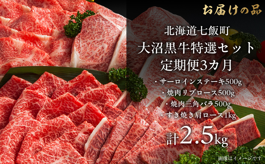 定期便セット定期3カ月　大沼黒牛の特選セット 【ふるさと納税 人気 おすすめ ランキング 北海道ブランド牛 大沼黒牛 黒毛和牛 サーロイン リブロース 焼肉 肩ロース おいしい 北海道 七飯町】 NA