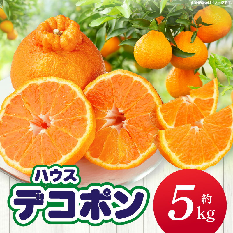 【ふるさと納税】【先行予約】ハウスデコポン約5kg（12－24玉）【香川県共通返礼品】 デコポン 甘い 酸味 柑橘 柑橘系 果物 フルーツ 青果 果実 果肉 デザート グルメ おすすめ 贈答 贈り物 贈答用 ギフト プレゼント 特産品 特産 取り寄せ 香川県 三木町 ふるさと 送料無料
