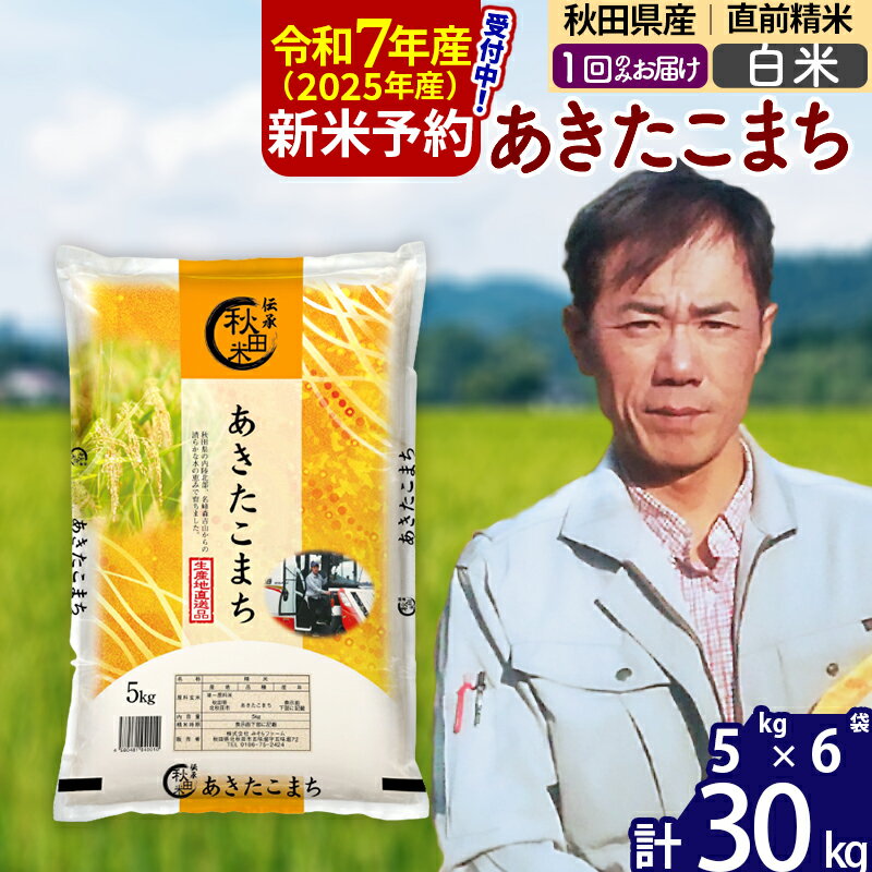 【ふるさと納税】※令和7年産 新米予約※秋田県産 あきたこまち 30kg【白米】(5kg)【1回のみお届け】2025産 お米 みそらファーム
