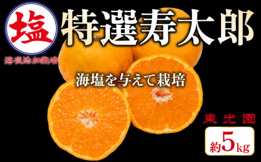 海塩を与えて栽培した 特撰 !! 寿太郎みかん 予約受付 2月中旬 順次発送 計 5kg 傷み補償分 200g含 寿太郎 みかん 蜜柑 柑橘 オレンジ 果物 フルーツ 沼津市 静岡県 数量限定 国産