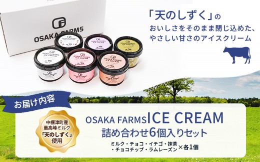 OSAKA FARMS ICE CREAM 詰め合わせ6個入りセット（ミルク・チョコ・イチゴ・抹茶・チョコチップ・ラムレーズン）