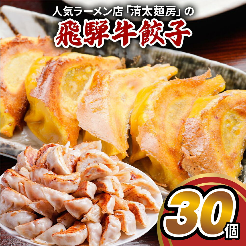 【ふるさと納税】 飛騨牛 のリッチな風味が口中に広がる！「飛騨牛餃子 30個」 餃子 ぎょうざ ギョウザ 飛騨牛 牛肉 肉 和牛 国産 冷凍 お取り寄せ [mt1582] 10000円 1万円