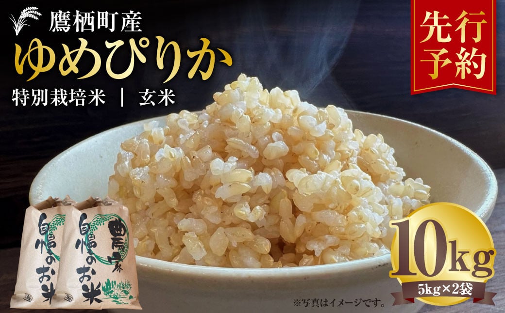 
            【令和7年産】 ゆめぴりか （玄米） 5kg×2袋 北海道 鷹栖町 たかすタロファーム 米 コメ こめ ご飯 玄米 お米 ゆめぴりか コメ 玄米 【2025年9月下旬より発送開始】
          