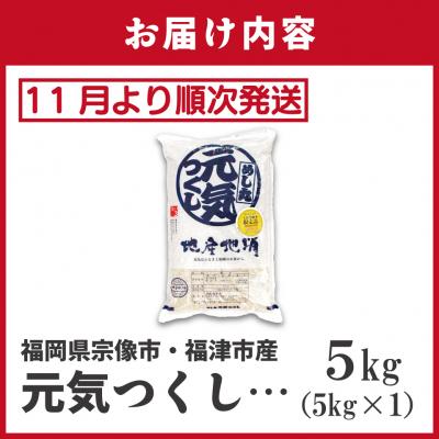 ふるさと納税 宗像市 新米先行受付! 元気つくし5kg【ほたるの里】_HA1788 |  | 01