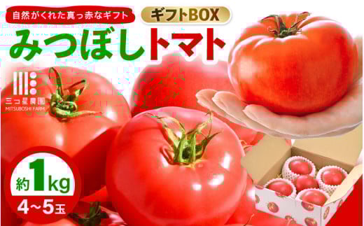 【期間限定】みつぼしトマト☆自然がくれた真っ赤なギフト 約1kg 【とまと トマト 野菜 生野菜 新鮮 産地直送 贈答 ギフト 国産】 [A-2608]