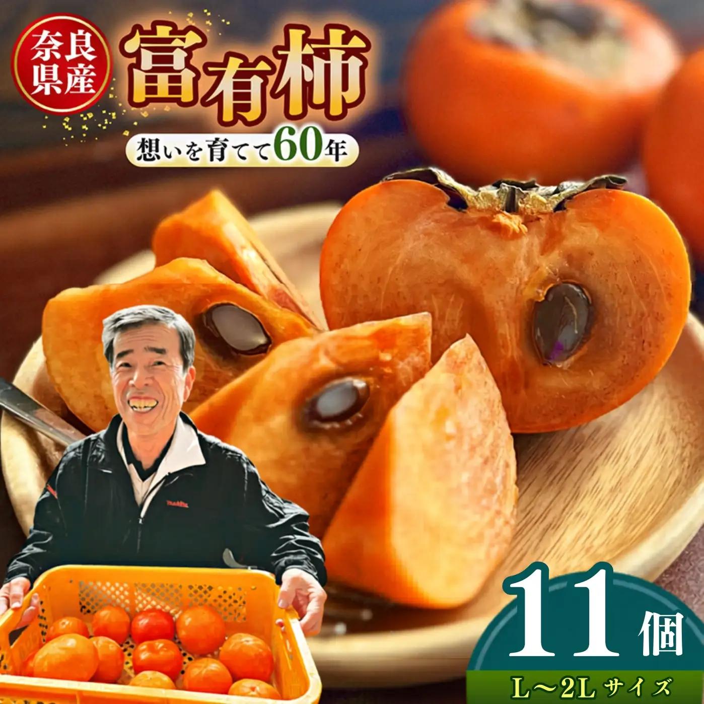 上田さんちの柿 ～想いを育てて六十年 一郎の想い詰まった富有柿～ L～2L 11個入り| 果物 柿