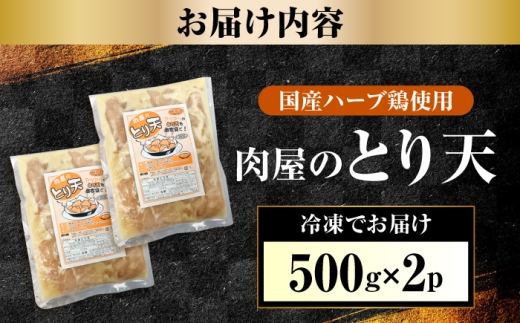 肉屋のとり天 500g×2p  日田市 / (株)吉野(デリカミート吉野) [ARFE011]