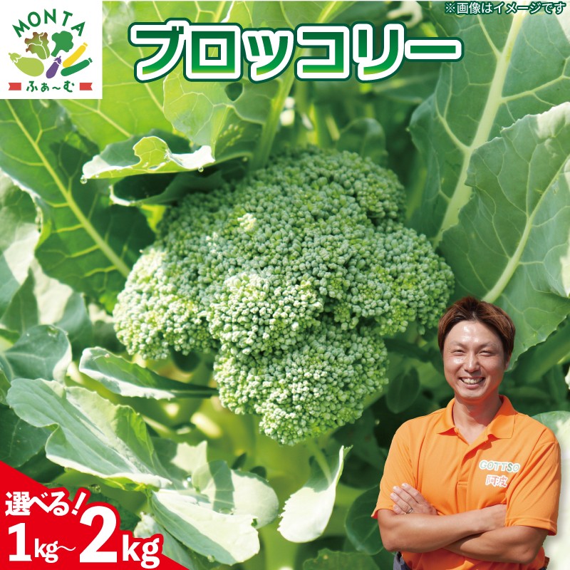 
                  【先行予約】 ブロッコリー 選べる 内容量 1kg 2kg 野菜 やさい 国産 朝採れ 新鮮 旬 季節野菜 産地直送 《2026年11月から順次発送》 鮮度抜群 サラダ スープ 味噌汁 鍋 シチュー カレー 和食 洋食 中華 栄養 冷蔵 お取り寄せ グルメ 送料無料 徳島県 阿波市 MONTAふぁ～む 
                
