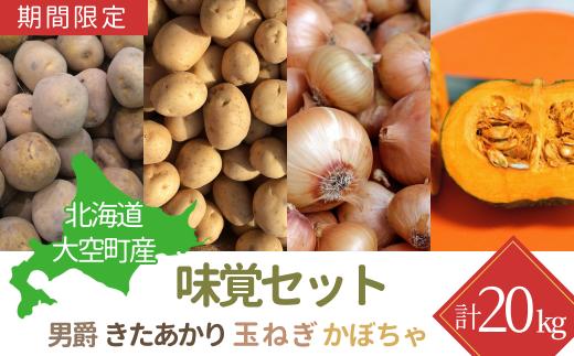 【期間限定】北海道大空町産味覚セット 計20kg 【 ふるさと納税 人気 おすすめ ランキング じゃがいも ジャガイモ いも 芋 男爵 きたあかり たまねぎ 玉ねぎ 南瓜 かぼちゃ カボチャ 甘い カレー 北海道産 野菜 旬 北海道 大空町 送料無料 】 OSA046