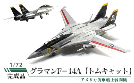 No.838 グラマンF－14A「トムキャット」1/72 ／ 模型 完成品 柏木崇男 茨城県