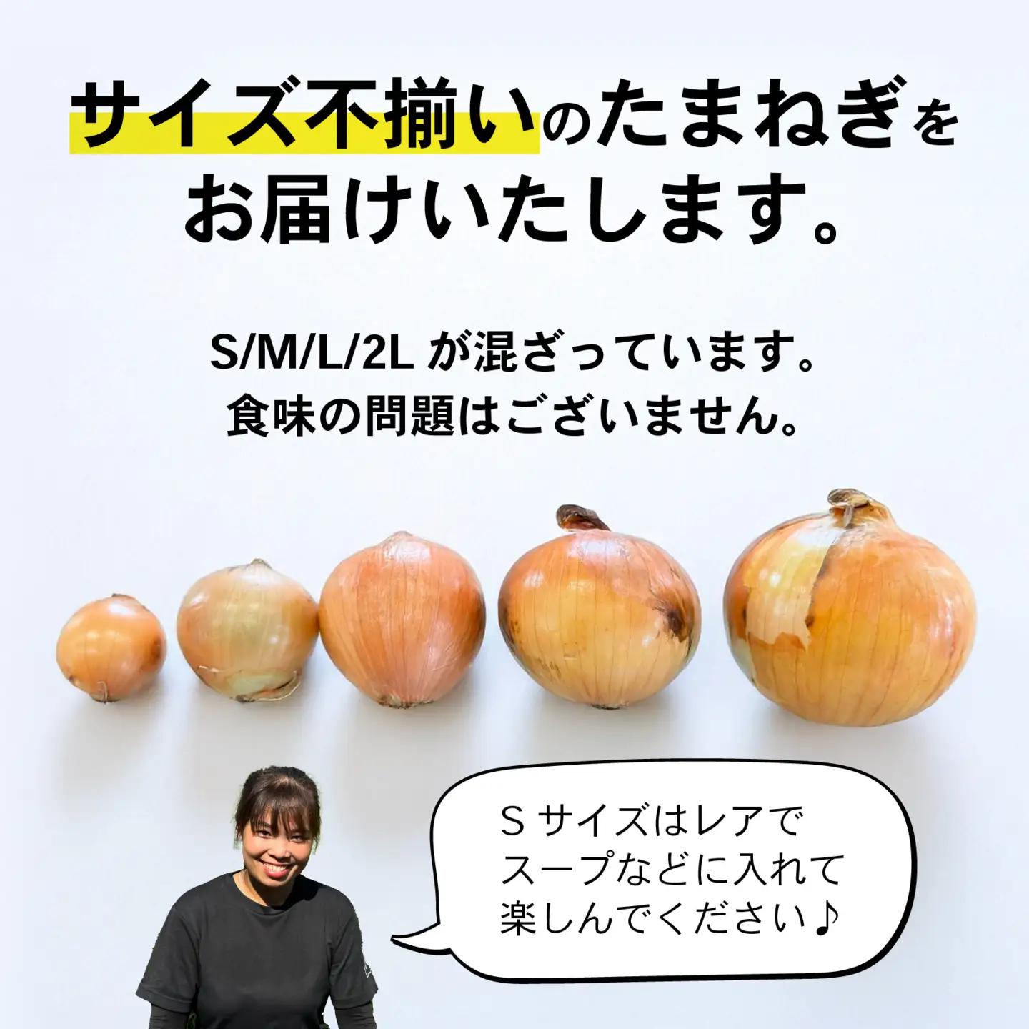 玉ねぎ 5kg 訳あり 淡路島  / 玉ねぎ