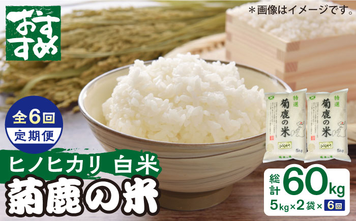 
                  〈令和8年度産米〉 【6回定期便】菊鹿の米 ヒノヒカリ 白米 5kg×2袋【有限会社 あそしな米穀】お米定期 お米定期便 熊本 精米 ひのひかり定期  [ZBI022]
                