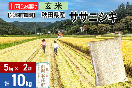 【玄米】秋田県由利本荘市産 ササニシキ 10kg(5kg×2袋) 令和7年産 真空パック 岩城町農園