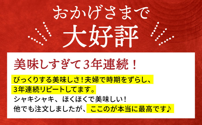 【先行予約】【特別栽培農産物 認定】＜地元 江北町産＞ 泥付き 蓮根 6kg（3kg×2）【百武青果】 [HAE002]