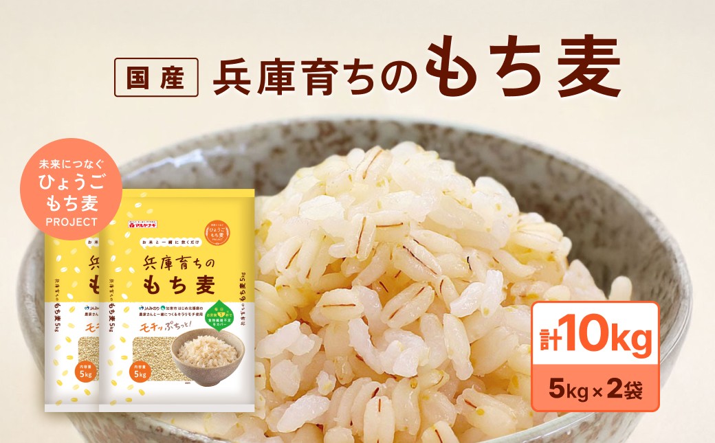 
            兵庫育ちの もち麦 10kg [国産 キラリモチ 食物繊維 ]
          