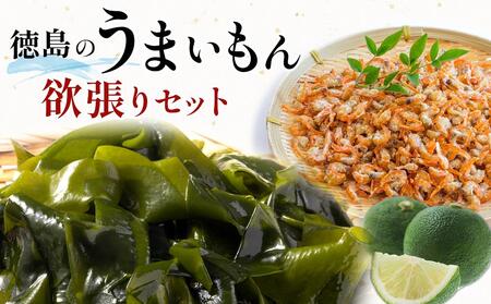 徳島 特産  わかめ のり 海苔 すだち 干しエビ 干海老 セット