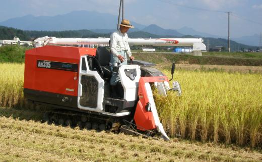 新潟県認証特別栽培米 下田コシヒカリ 5kg 令和6年産 三条市産 こしひかり [堀江農園] 【011S161】