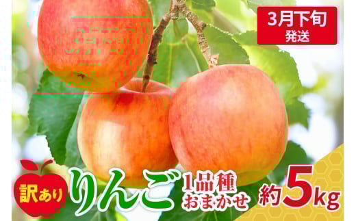 【2026年3月下旬発送】 【訳あり】 旬の美味しい りんご 約5kg 青森産 【おまかせ1品種】