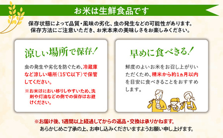 【令和6年度米】宮崎県産ヒノヒカリ 5kg×2袋 合計10kg ヒノヒカリ お米 令和6年度米