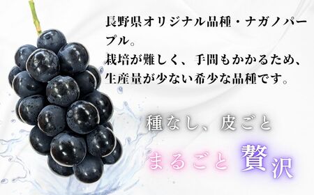 【先行予約】[令和7年産]飯山市産 ナガノパープル2房（約900g以上）(7-A31)