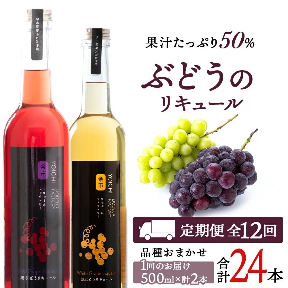 【定期便12ヵ月】ぶどうリキュール2本【品種おまかせ】〈余市リキュールファクトリー〉_Y020-0620